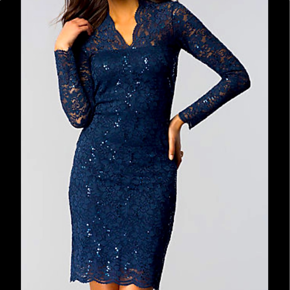 Marina Blue Sparkly Lace V-neck Long Sleeved Dress